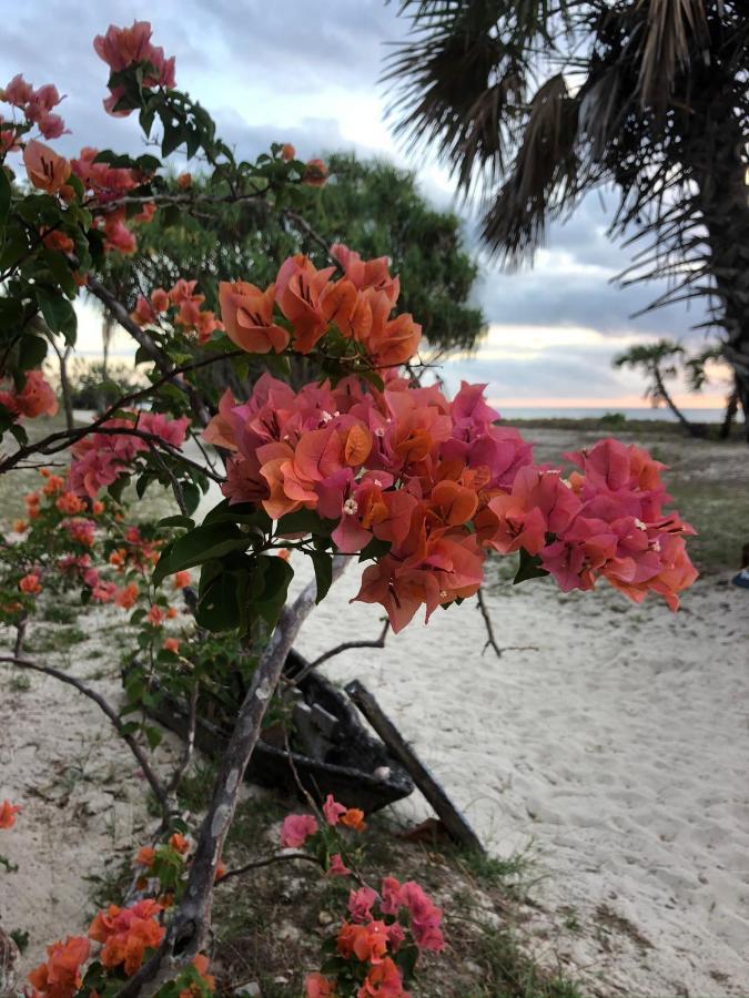 Pangani Emayani Beach Lodge מראה חיצוני תמונה