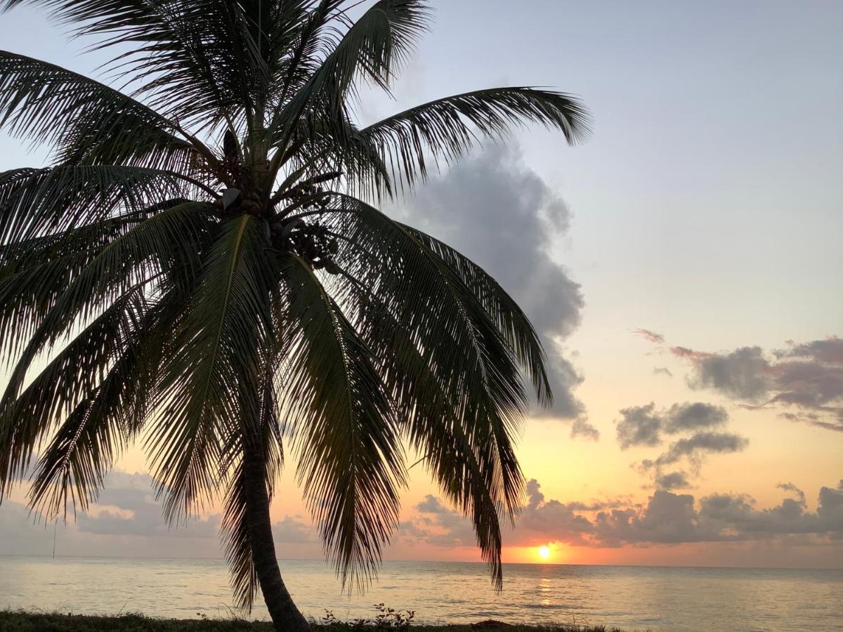 Pangani Emayani Beach Lodge מראה חיצוני תמונה